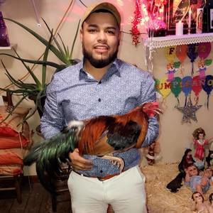 Meet your Posher, Levi